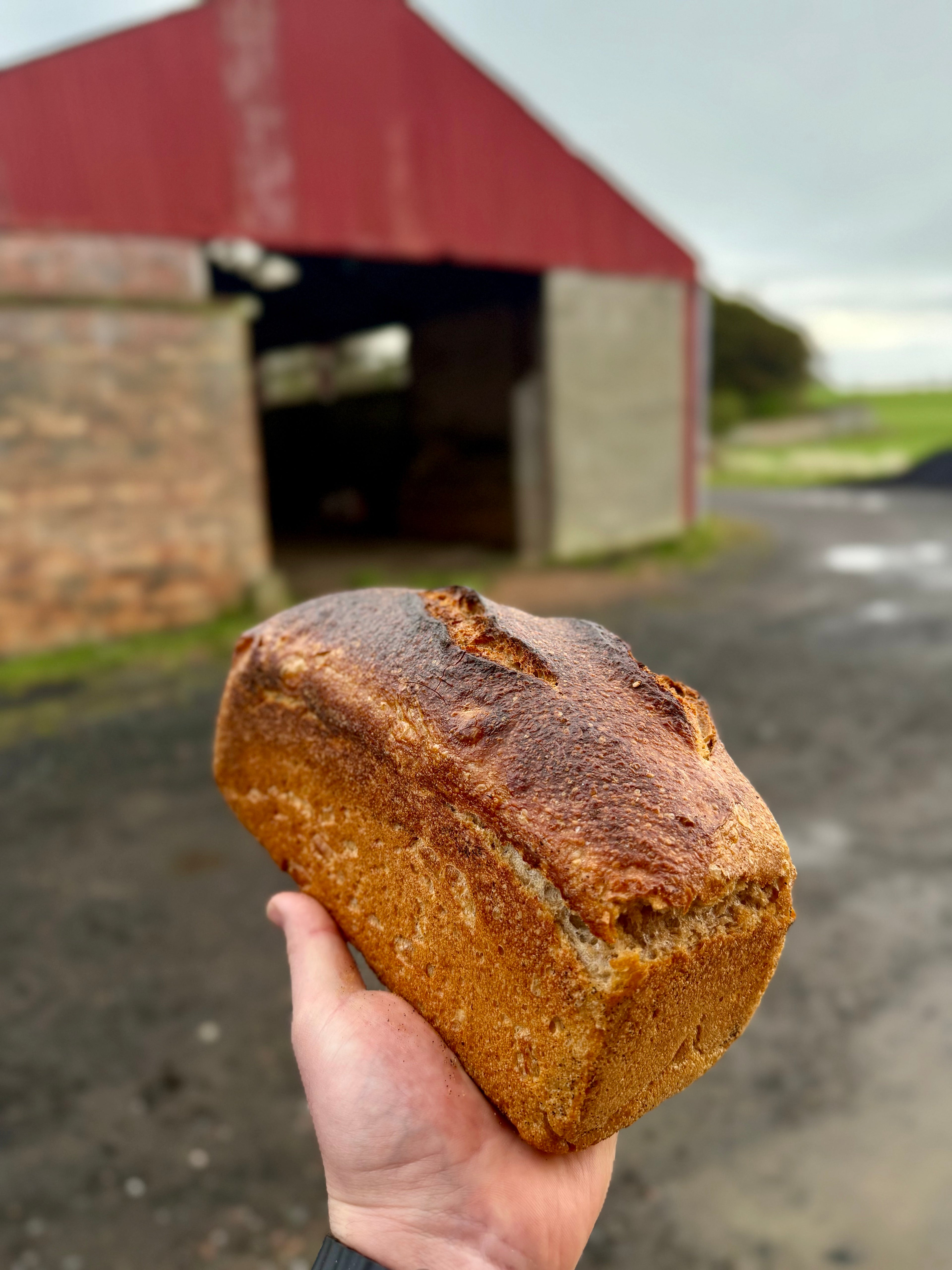 Tin Loaf