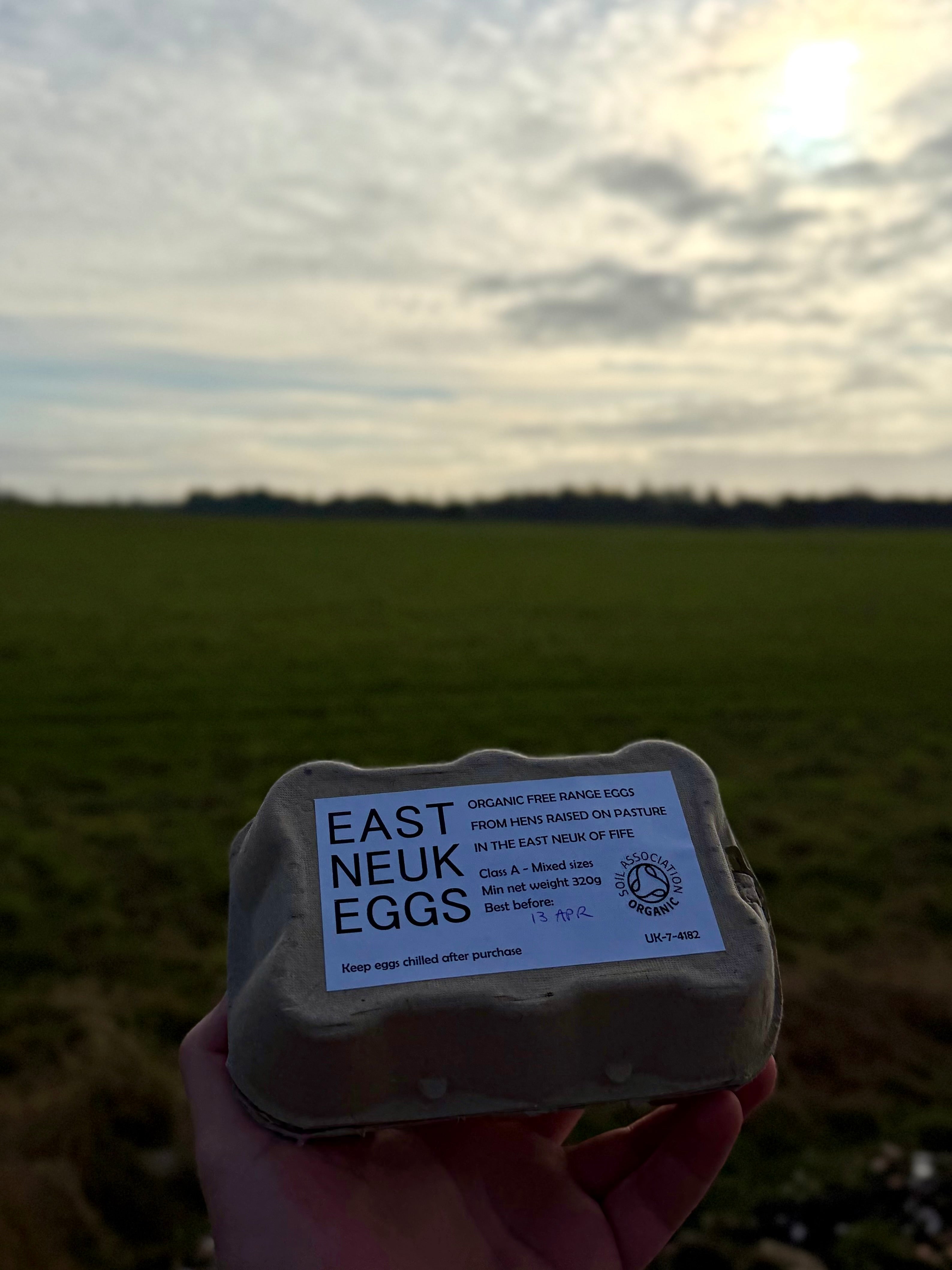 East Neuk Eggs (6)