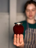 Red Apricot Conserve