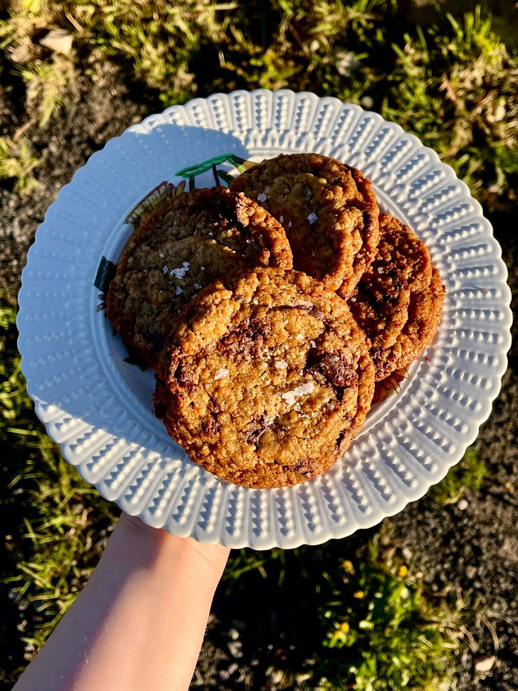 Chocolate Chip Cookie