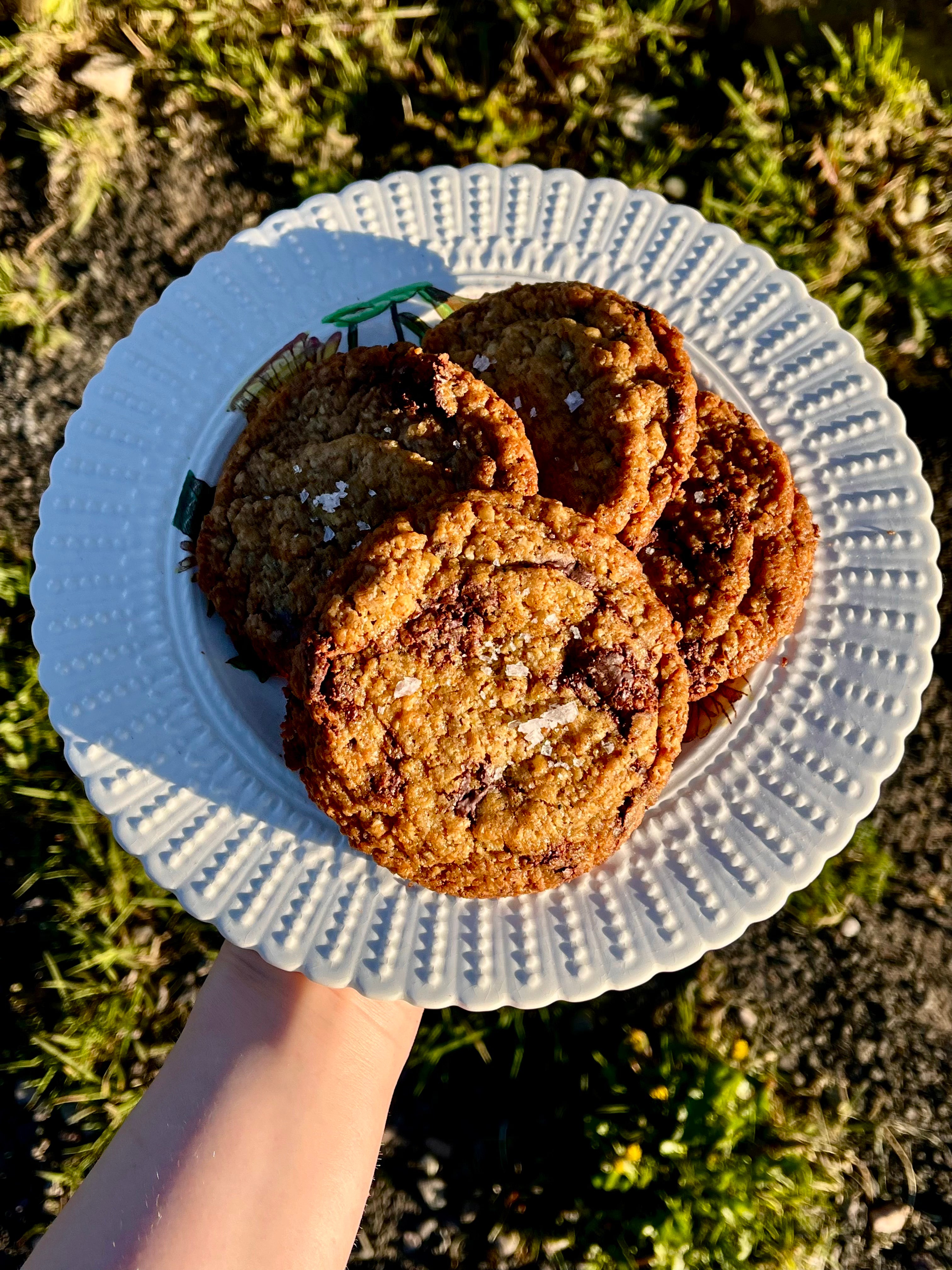 Chocolate Chip Cookie