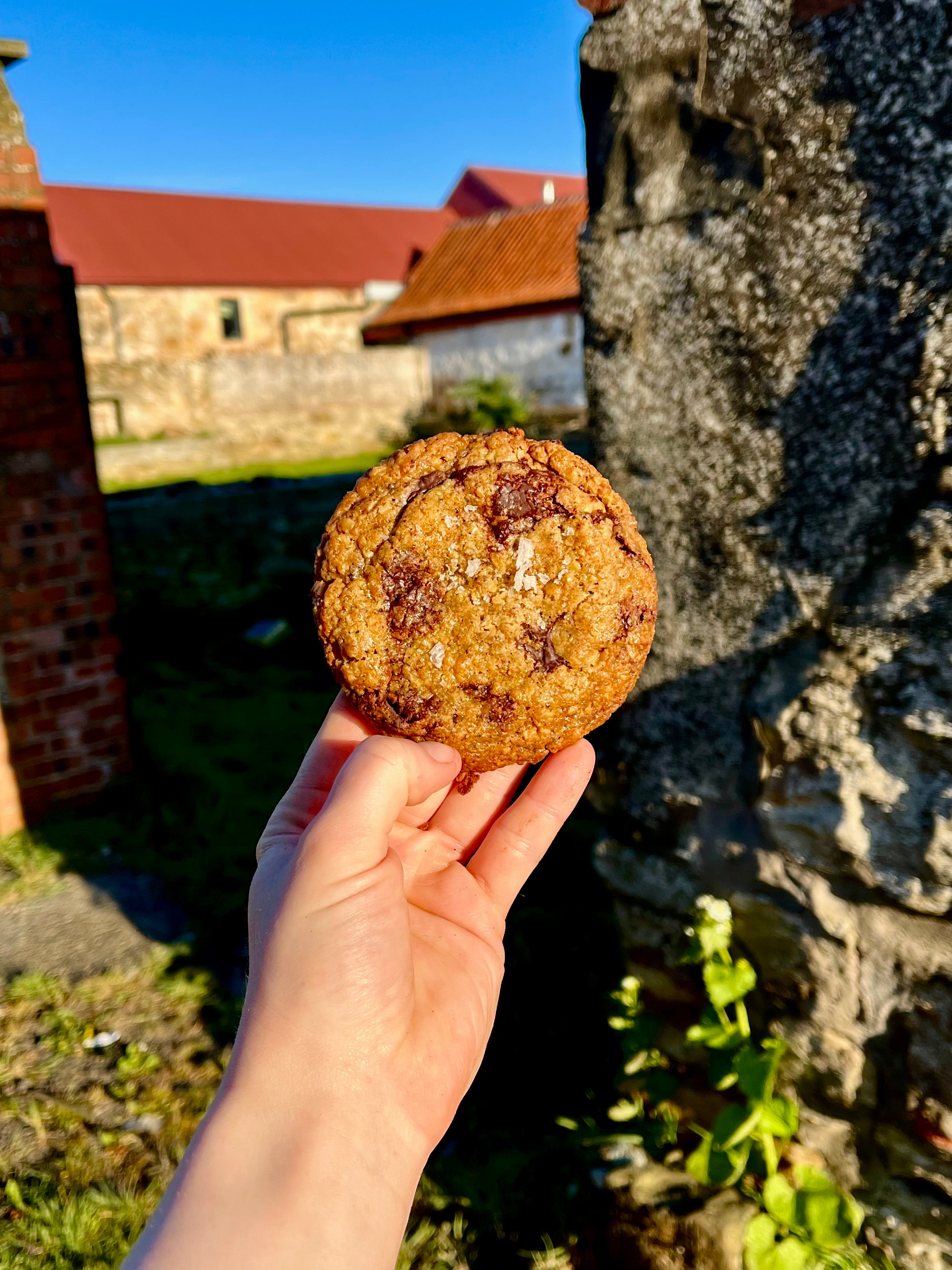 Chocolate Chip Cookie