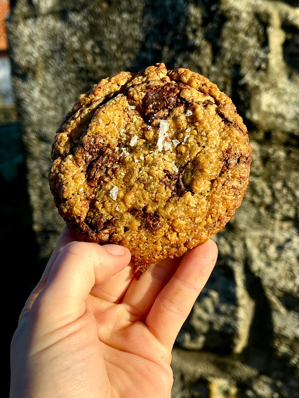 Chocolate Chip Cookie